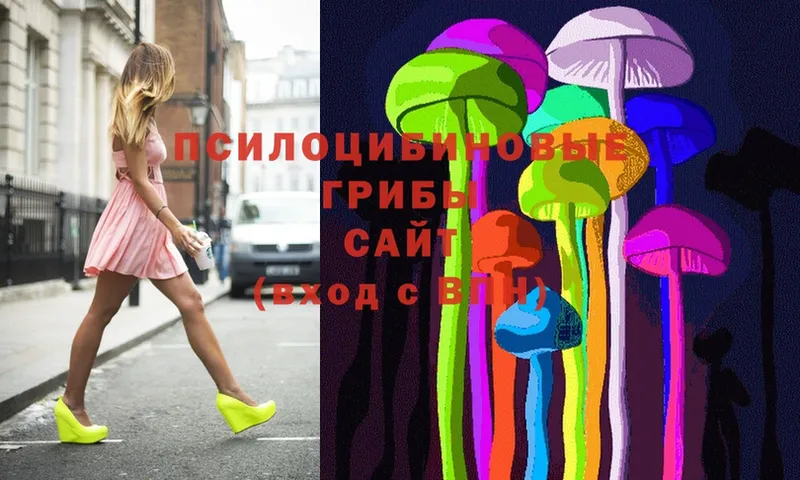 Галлюциногенные грибы Psilocybe  ссылка на мегу рабочий сайт  Жигулёвск  дарнет шоп 